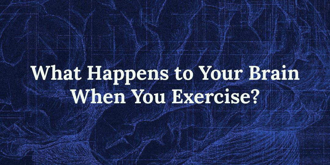 What Happens to Your Brain When You Exercise?