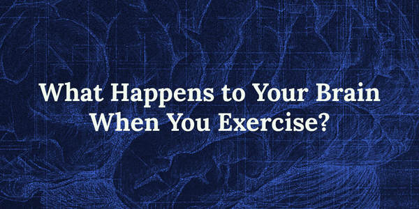 What Happens to Your Brain When You Exercise?